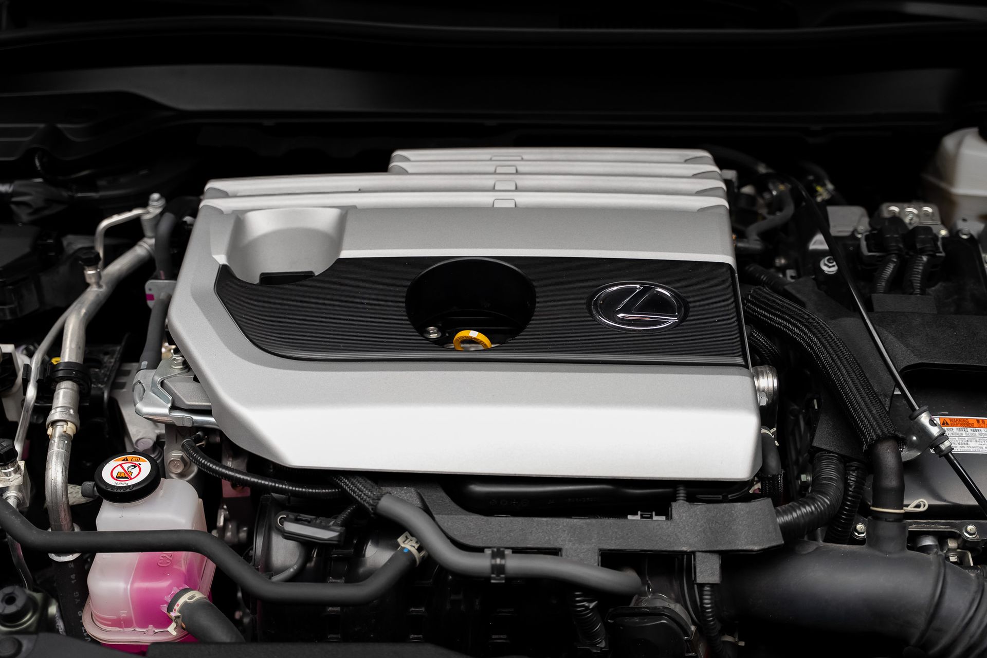 2024 Lexus UX 250h Base for sale | TxTCharlie